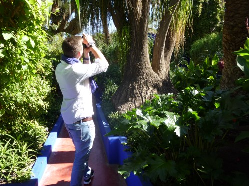 Ein Mittag im Garten von Yves Saint Laurent - Jardin Majorelle- Marrakech  (Herbst 2013)