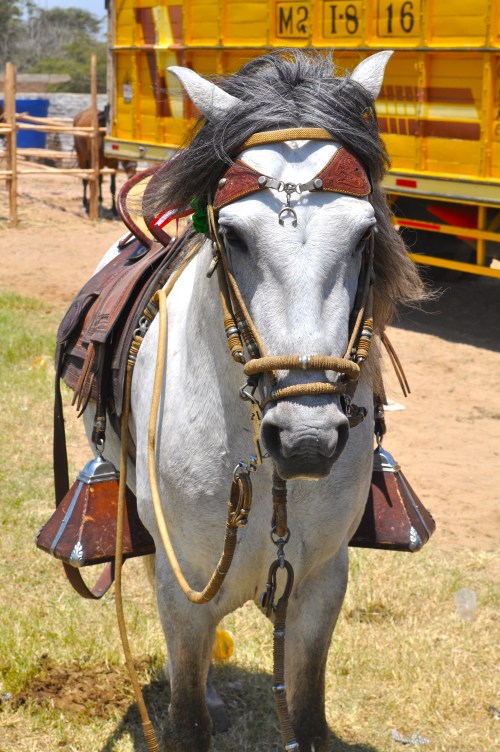 Passo peruano - Reque