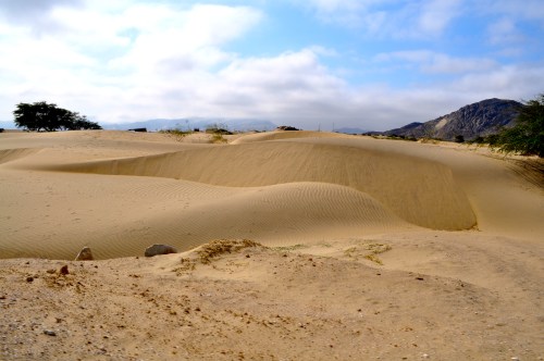 Mein Arbeitsweg zur Caleera - Reque 