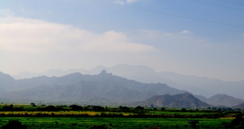 Felder - nahe Patapo