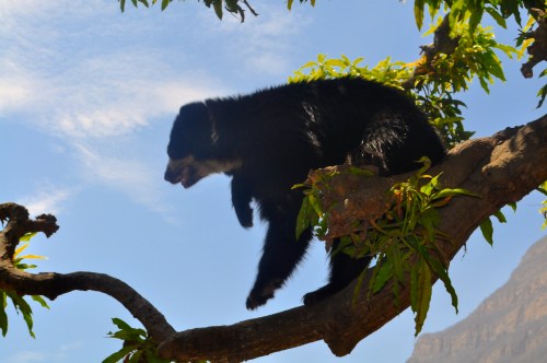 Naturreservat - Champari