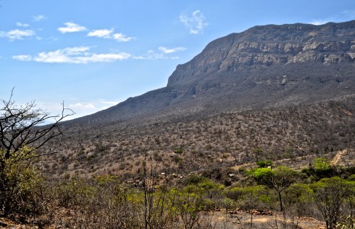 Naturreservat - Champari